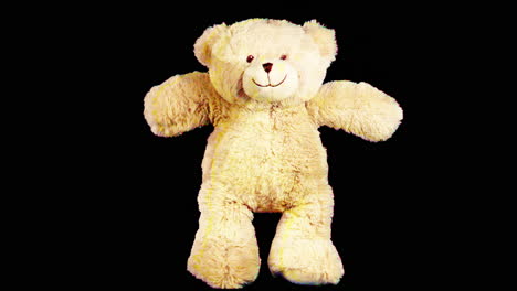 teddy bear