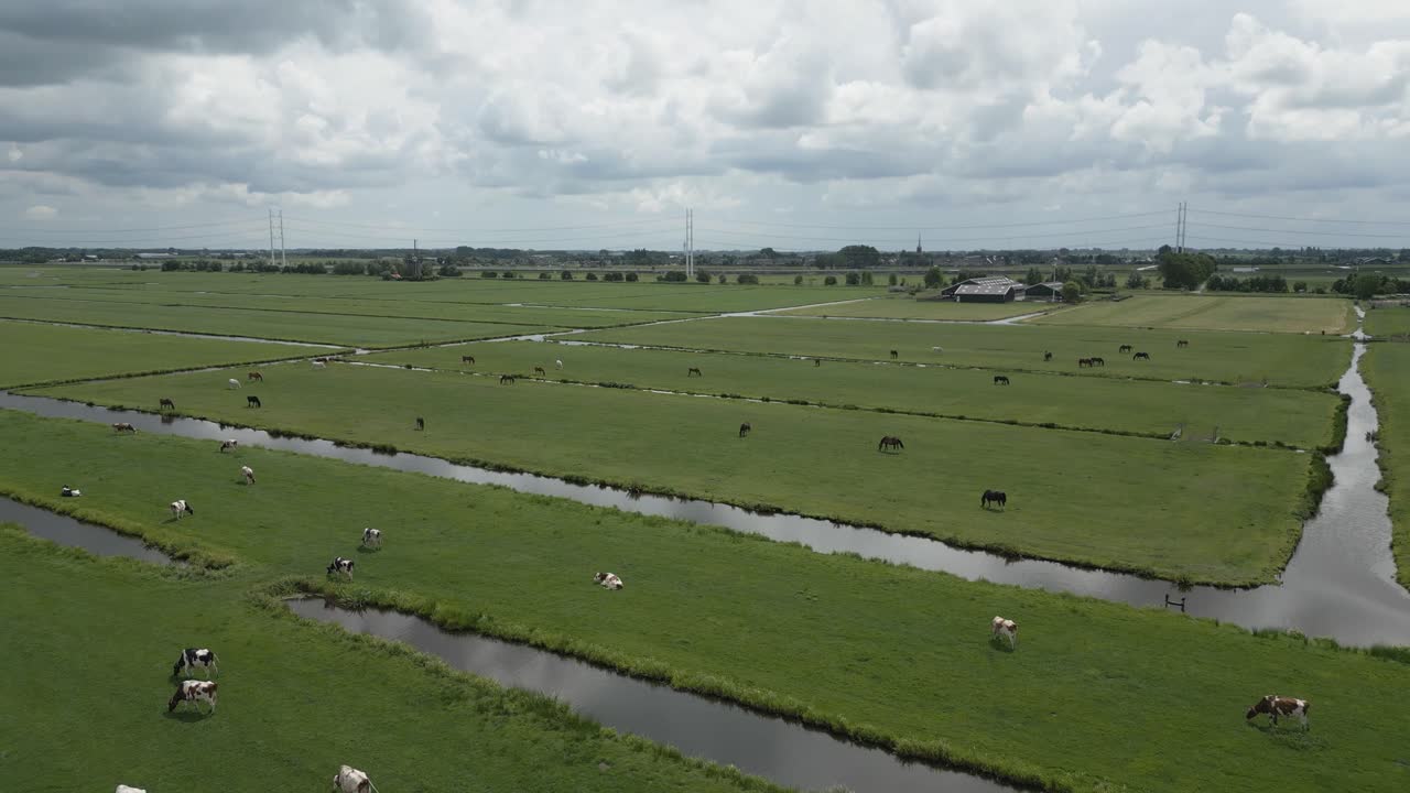 Drone footage showing grazing cows in the Netherlands’ flat, . A peaceful scene, yet livestock farming is a major contributor to methane emissions and climate change