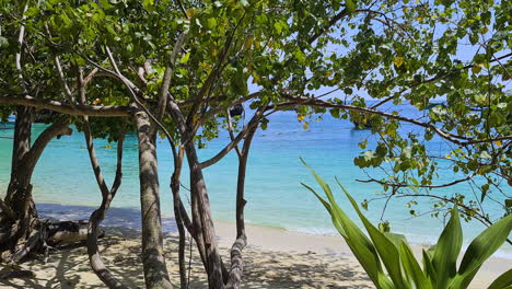 tropical beach, turquoise sea, white sand and green plants, nong island, krabi province, thailand