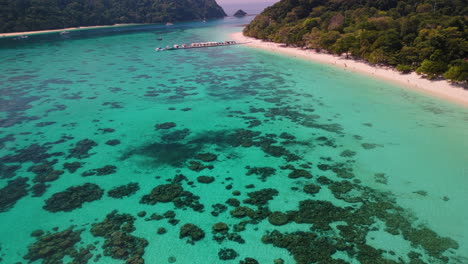 tropical island beach with coral reefs