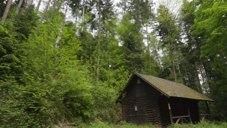 Tiro-De-Zoom-De-La-Cabaña-En-Los-Bosques-De-La-Selva-Negra,-Alemania