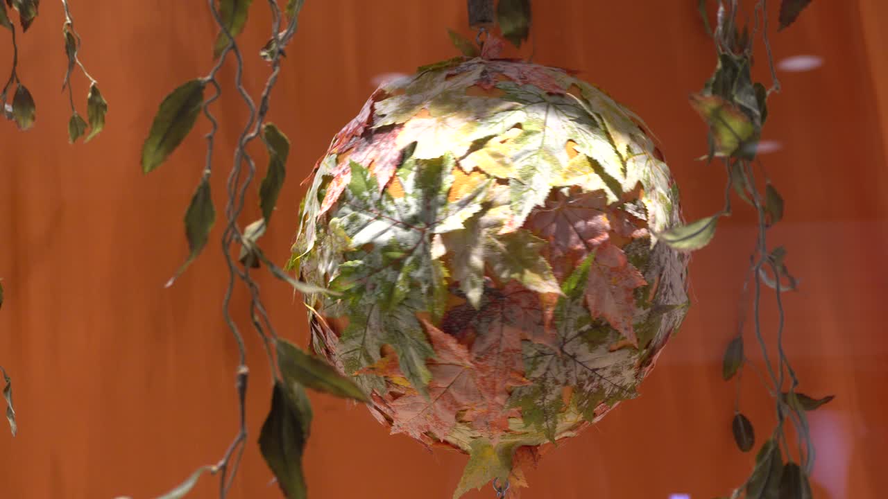 쇼케이스에서 나뭇잎이 회전합니다.