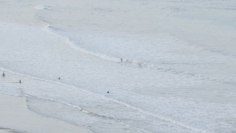 Surfer-catching-wave-at-Castle-Point-Beach-in-New-Zealand,-Wide-Shot