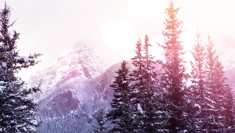 Animation-of-winter-scenery-landscape-with-light-spots-mountains-and-fir-trees-covered-in-snow