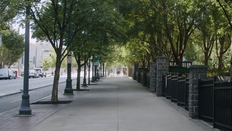 city sidewalk lined with trees