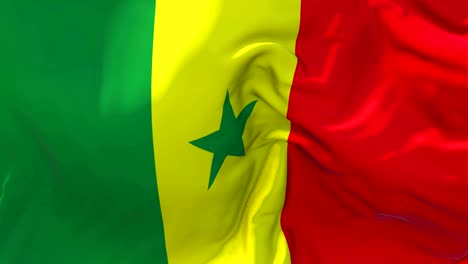 senegal flag waving in wind slow motion animation . 4k realistic fabric texture flag smooth blowing on a windy day continuous seamless loop background.