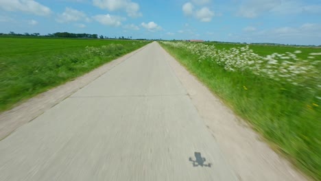 drone fpv volando bajo sobre una carretera de campo vacía con hierba y flores a cada lado