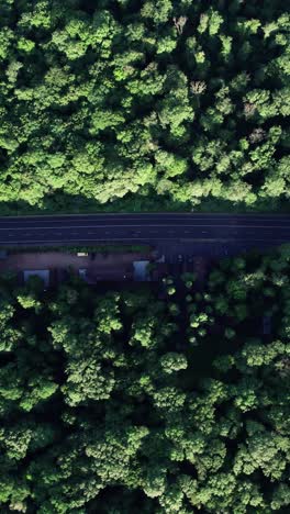 car riding on the highway through the forest on countryside