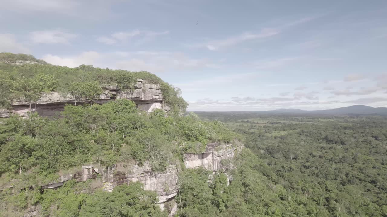 cerro azul, guaviare, colombia, cima de la cordillera de chiribiquete - toma aérea de drones