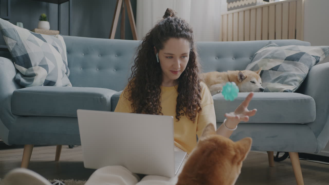 Woman working from home with dogs