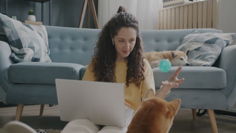 woman working from home with dogs