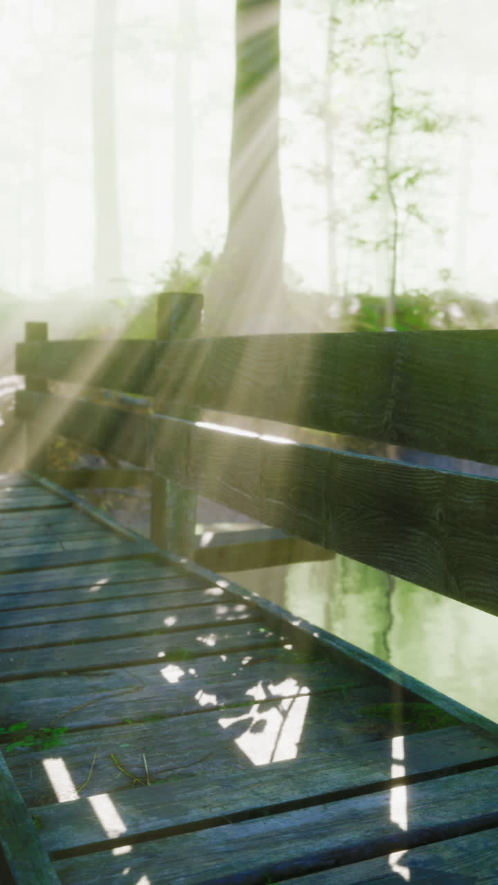 Sunbeams shining through the trees onto a wooden bridge in a forest