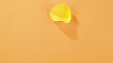 single yellow rose petal on orange background
