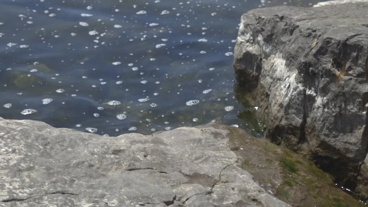 녹조류와 물에 거품이 있는 강의 바위 해안