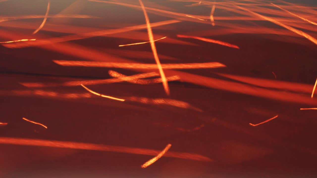 Burning red hot sparks rise. Beautiful abstract background. Fast flying luminous sparks from the fire close-up