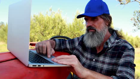 man using laptop in olive farm 4k