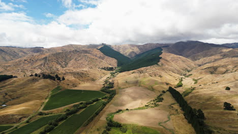 aerial drone shot over wine fields along hilly terrain on north of south island, new zealand on a cloudy day