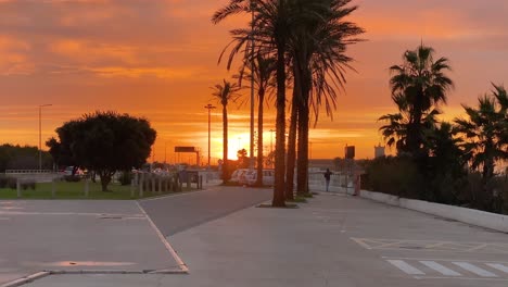 Silhouetted-palm-trees-against-sunrise-sky-with-some-people-going-to-work-and-a-man-checking-the-waves