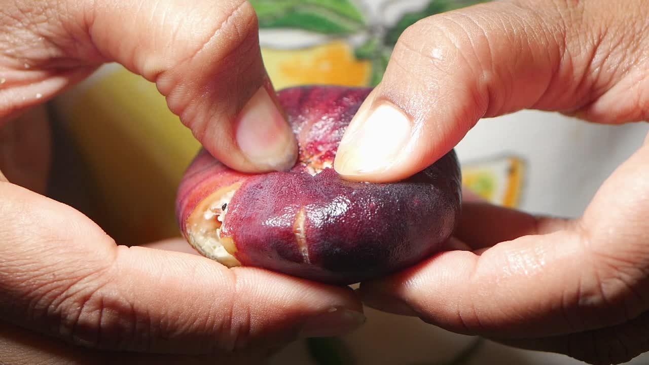 Close-up of Fig being Split