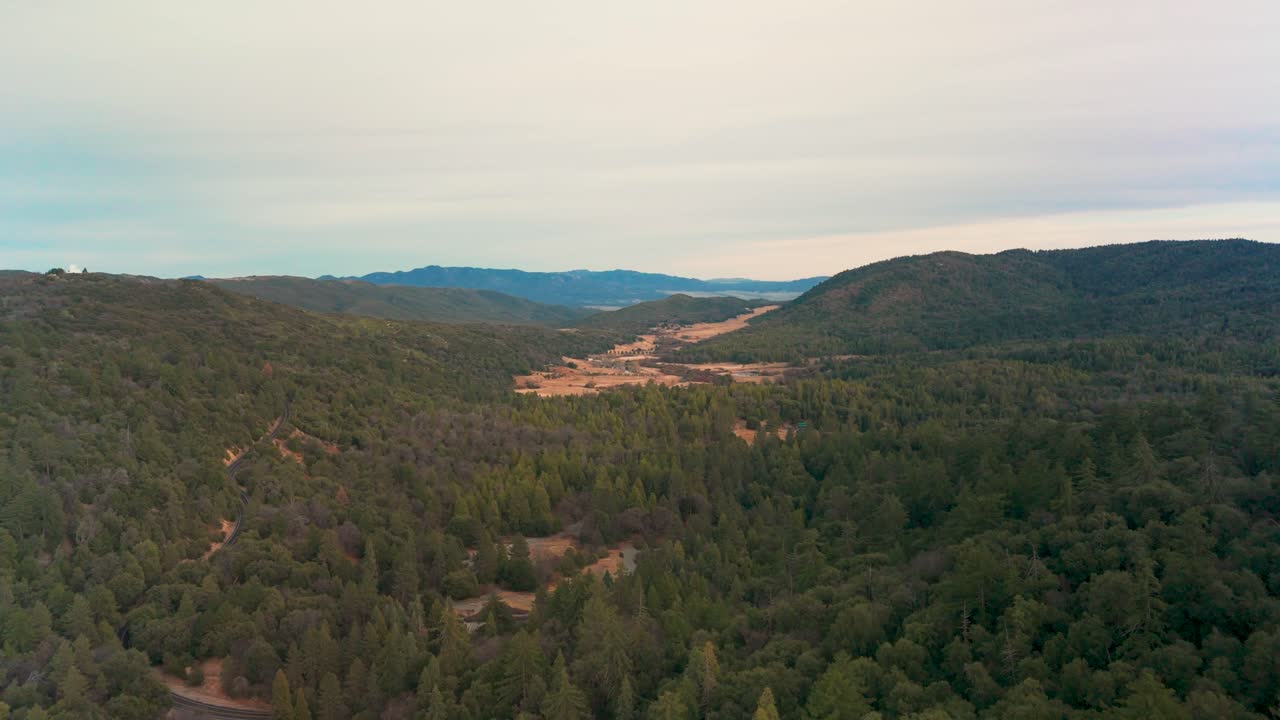 Lush Forests Of Palomar Mountain State Park In San Diego County, California - Drone Shot