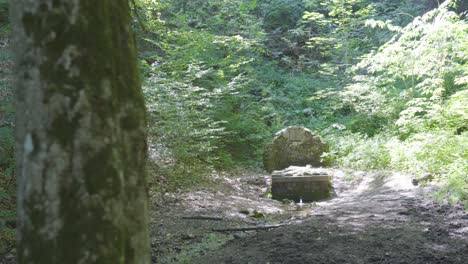 Revelación-De-La-Estructura-De-Piedra-Que-Marca-La-Tubería-De-Drenaje-En-El-Bosque,-Varbo,-Hungría