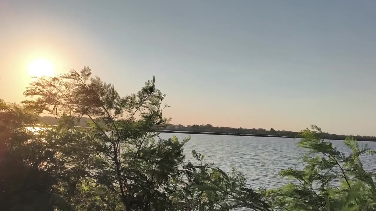 Atardecer dorado sobre un lago tranquilo con árboles meciéndose