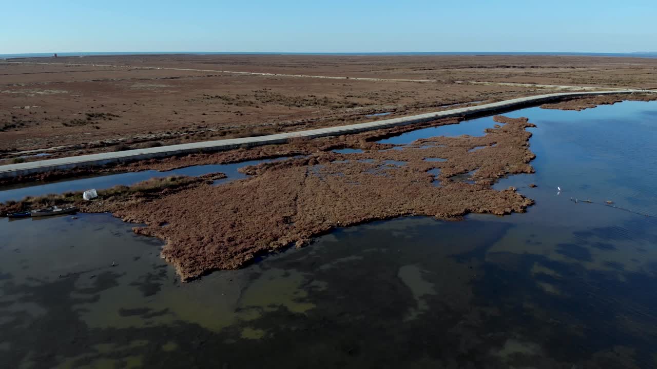 entorno natural de conservación de la vida silvestre de las aves migratorias en una laguna poco profunda con agua clara bordeada por un pantano