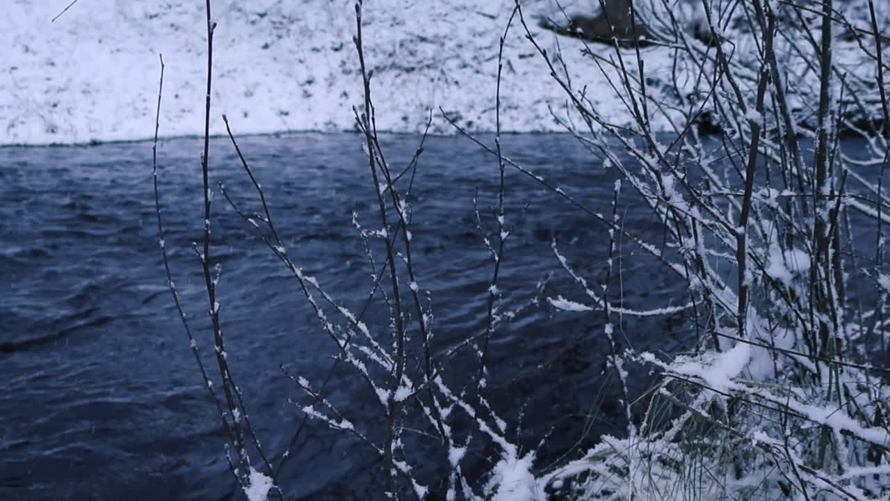 Dark fast flowing cold river water flowing behind some tall twigs covered with thick and white fluffy snow during winter cloudy day. Riverbanks are covered with white snow and water moving smoothly.