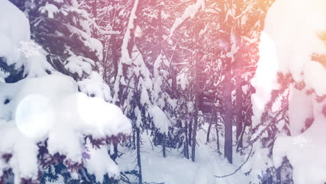 animación de paisaje de invierno con puntos de luz árboles de abeto forestal cubiertos de nieve