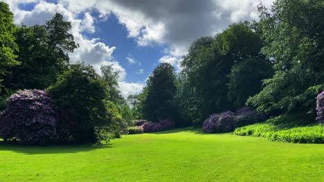 green paradise park on earth