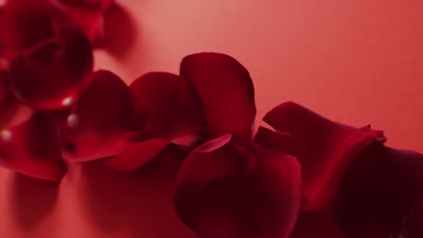 red petals frame on red background at valentine's day