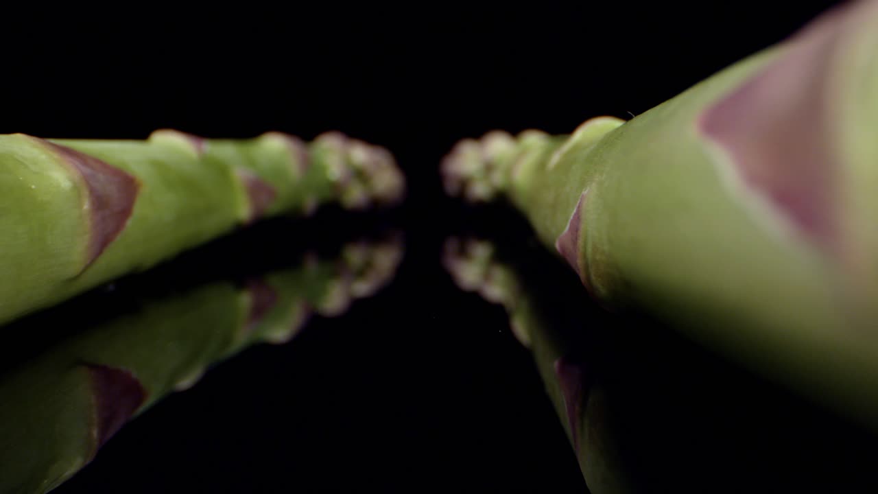 Fresh Asparagus green high quality healthy vegetable super macro close up HQ 4k shoot