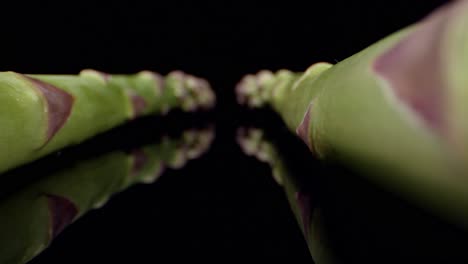 fresh asparagus green high quality healthy vegetable super macro close up hq 4k shoot