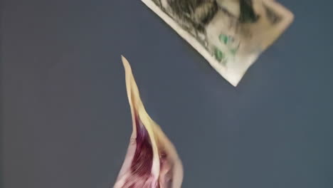 falling money