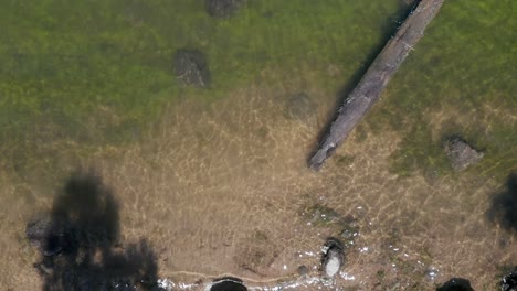 aerial descent lowering toward crystalline lake water with green algae at shore