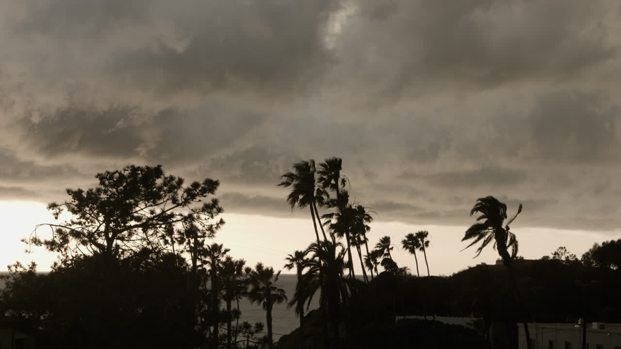 las nubes oscuras se deslizan sobre las palmeras en una playa de encinitas, california.
