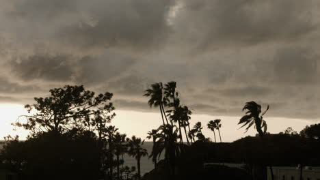 dark clouds roll in over the palm trees at a beach in encinitas, california