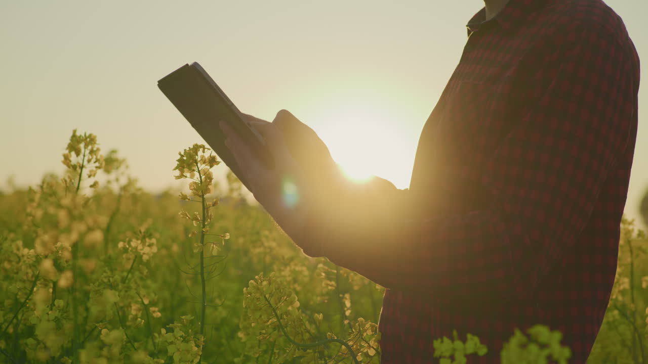 Agricoltore con tablet digitale al tramonto