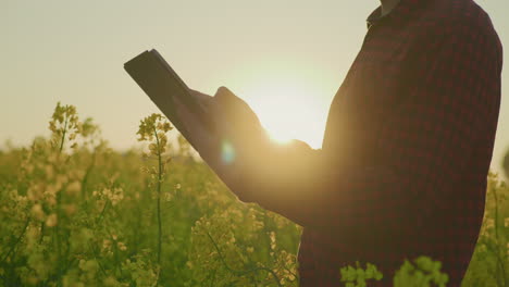 Farmer with Digital Tablet at Sunset