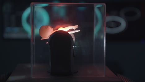exhibición del modelo fetal