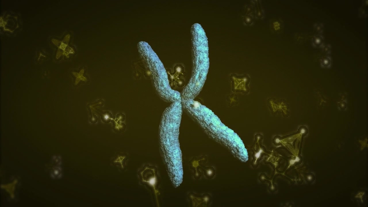 Una X blu ruota e si inclina, la sua rotazione si trasforma in una forma a X bianca per mostrare una struttura molecolare.