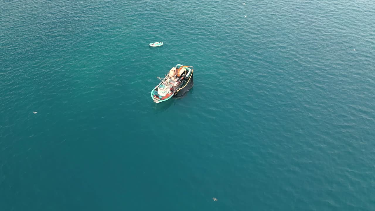 vista de arriba de un buque pesquero arrastrando su red, capturando una abundante captura de sardinas mientras está acompañado por gaviotas que dan vueltas