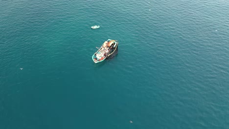 Vista-Superior-De-Un-Barco-Pesquero-Arrastrando-Su-Red,-Capturando-Un-Abundante-Botín-De-Sardinas-Mientras-Está-Acompañado-Por-Gaviotas-Volando-En-Círculos.