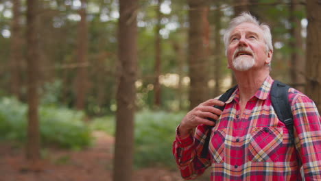 active retired senior man walking in woodland countryside wearing backpack