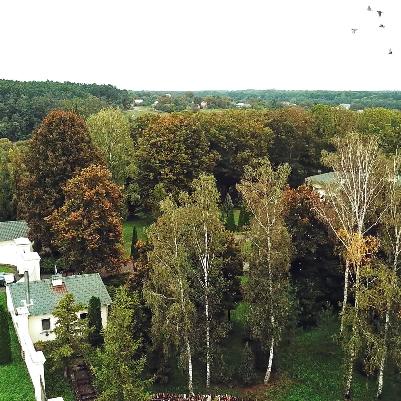 Drone shot aerial view of autumn trees in the park. Beautiful landscape of natural background at day. Aerial view. Camera moves right.