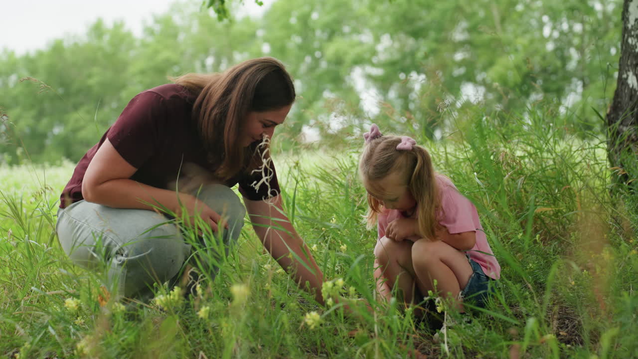 Young girls observe plants and bugs together, Girls engaging in educational outdoor discovery of flora and fauna, Woman and girl explore meadow flora and insects with curiosity and care