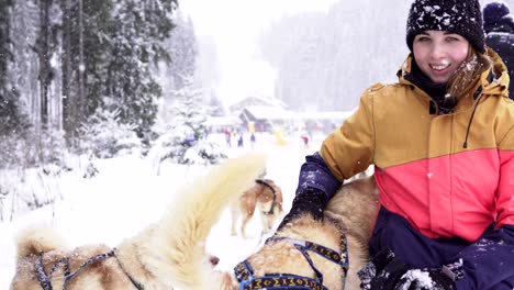 beautiful girl hugging the dog. the girl with the siberian husky