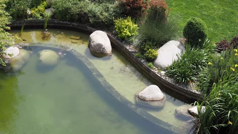 serene garden pond with lush greenery