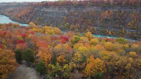 spectacular aerial fall colors of niagara glen to reveal fast flowing niagara river