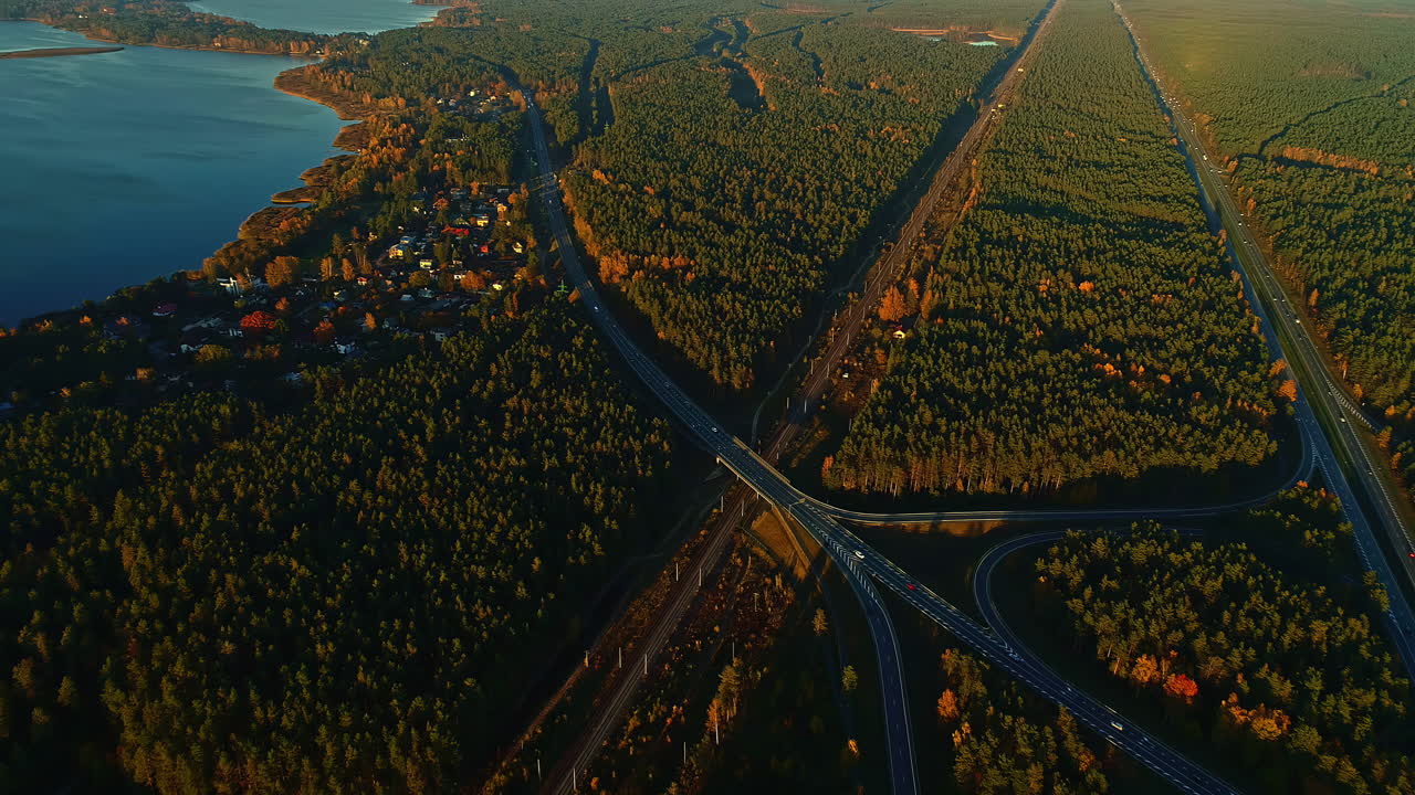 drone aéreo hacia atrás ascendiendo sobre un bosque mixto con abetos verdes y árboles regulares amarillos al lado del lago después del amanecer